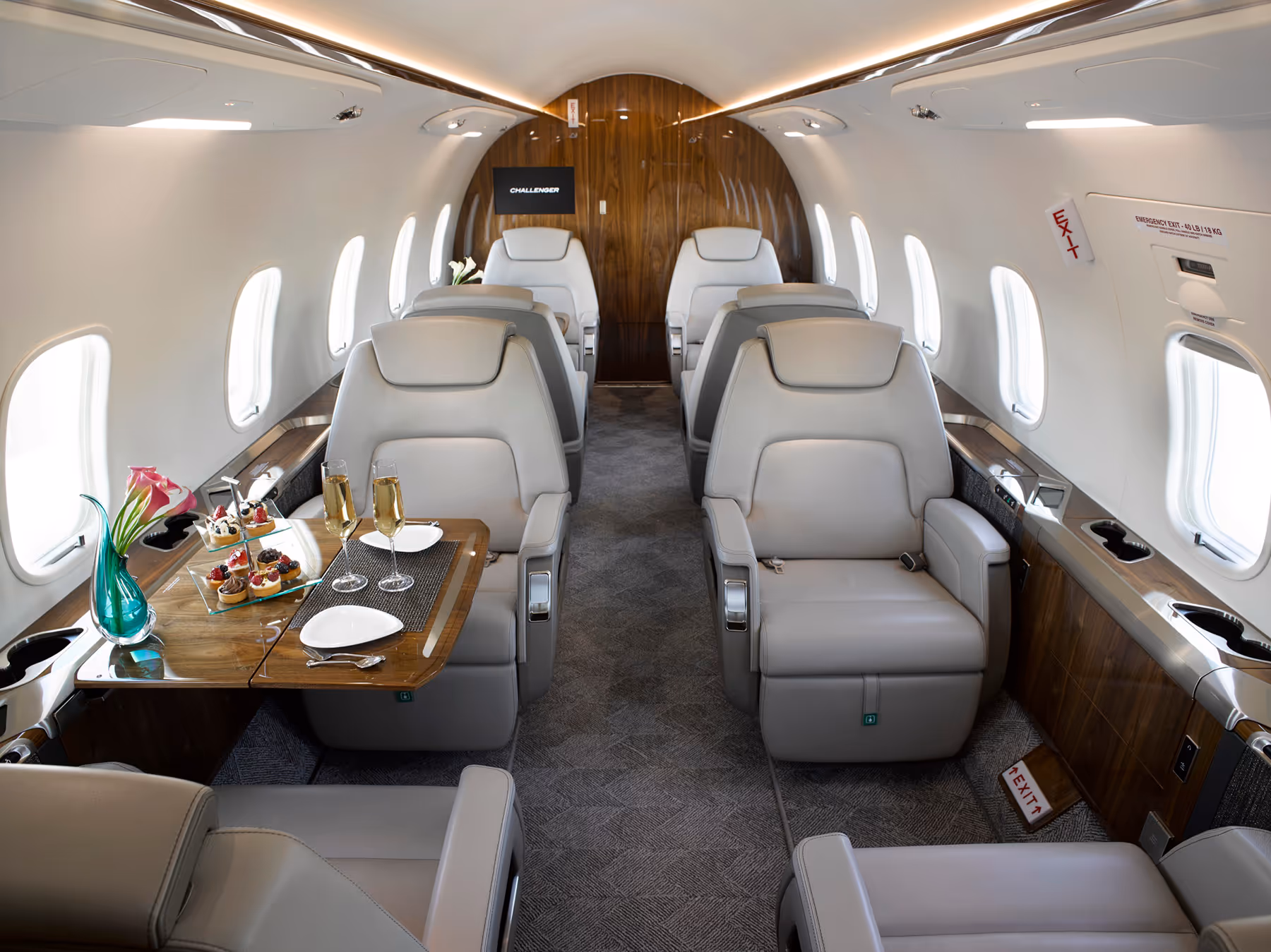 Challenger 350 Interno 2