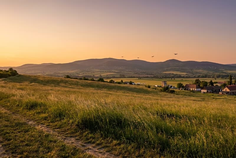 Privatjet nach Pécs-Pogány