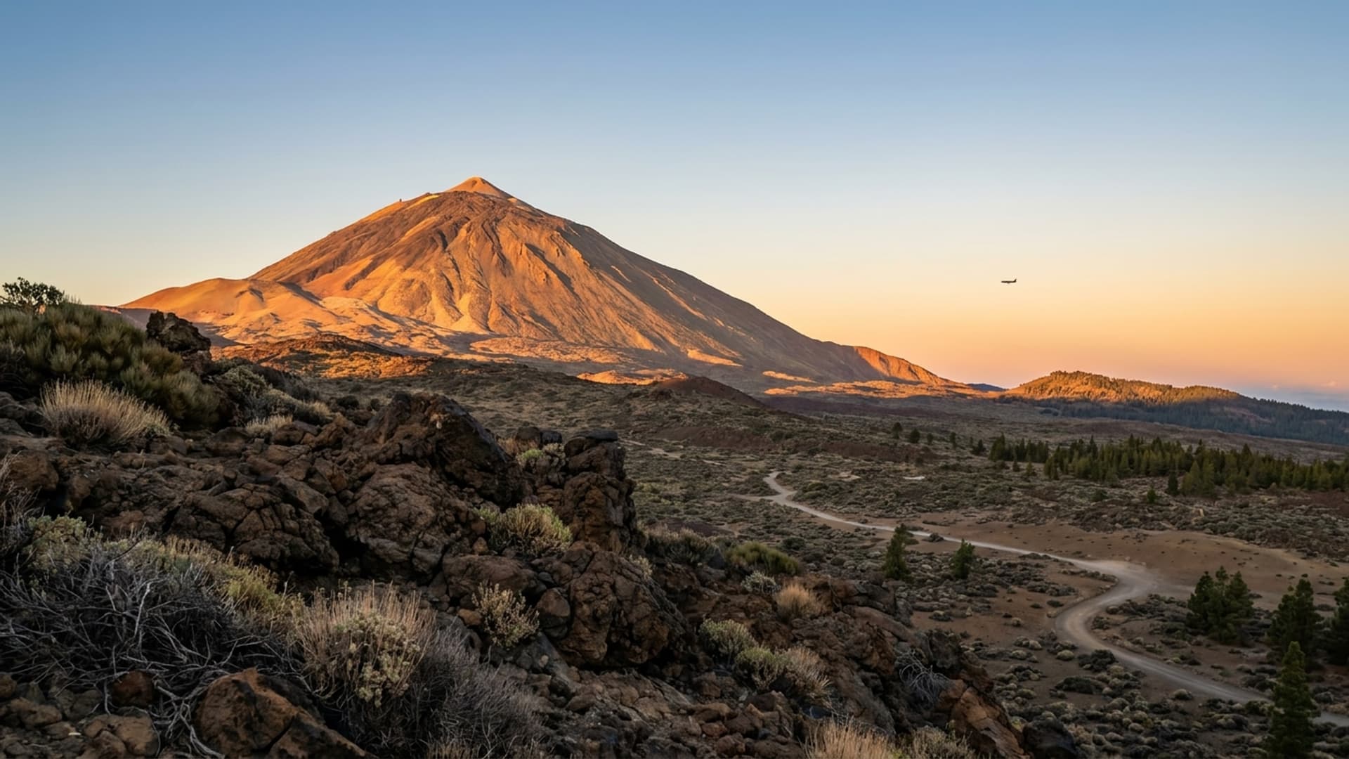 Privatjet in Tenerife Norte