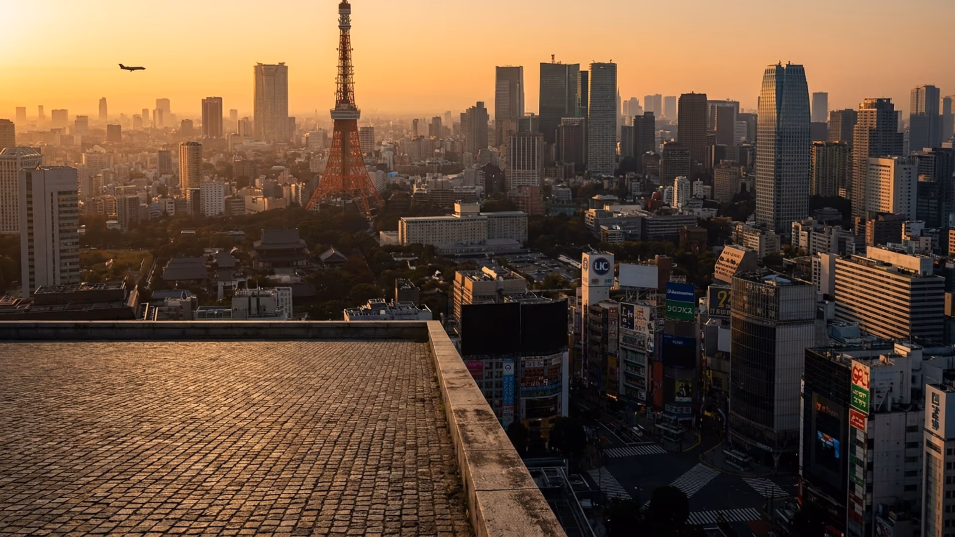 Tokyo private jet aviation hub