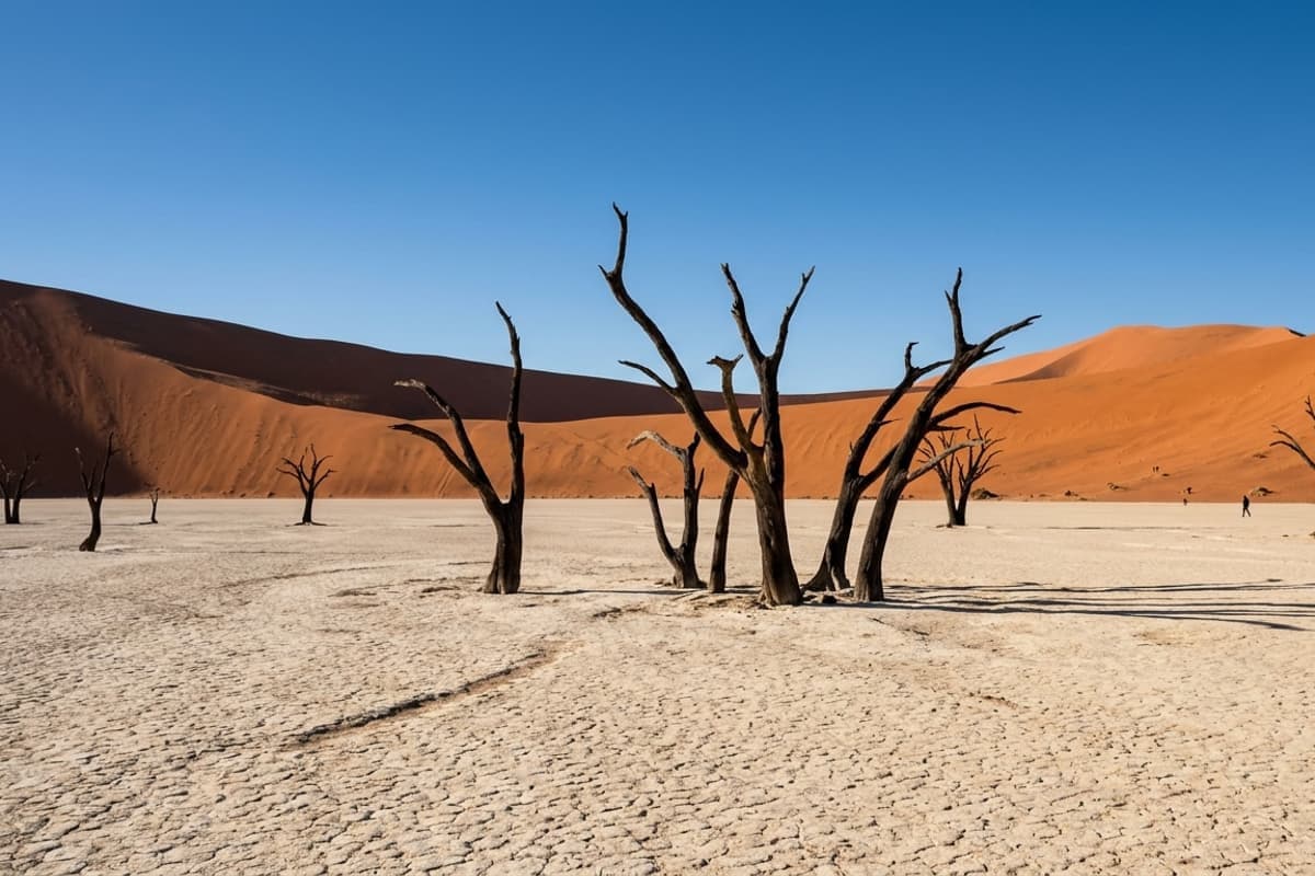 Destino de jet privado — Namibia